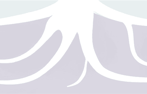 Abstract white branching lines extend downward on a light lavender background, resembling roots or veins.